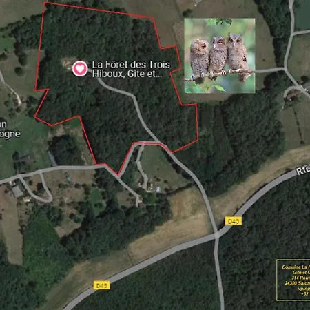 La Foret Des Trois Hiboux - Le Clos Napoleon Bed & Breakfast