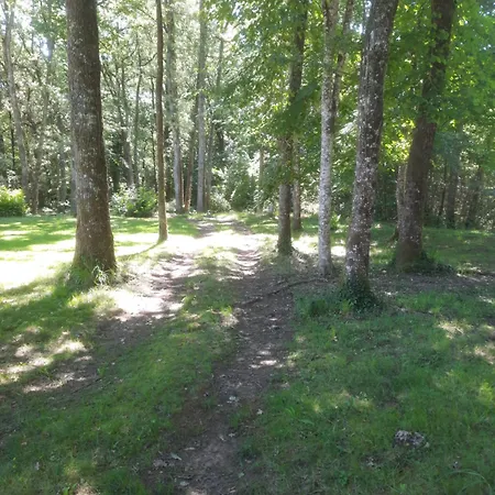 La Foret Des Trois Hiboux - Le Clos Napoleon *