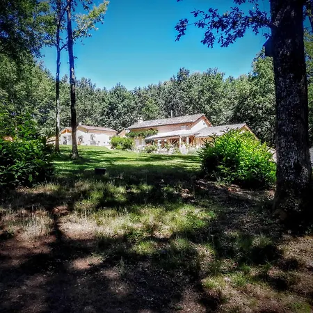 La Foret Des Trois Hiboux - Le Clos Napoleon Bed & Breakfast Salon